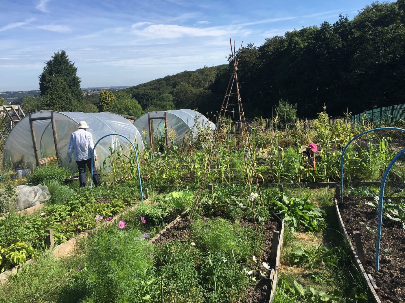 Community allotment